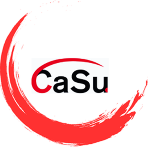 BAG Caritas Suchthilfe - CaSu